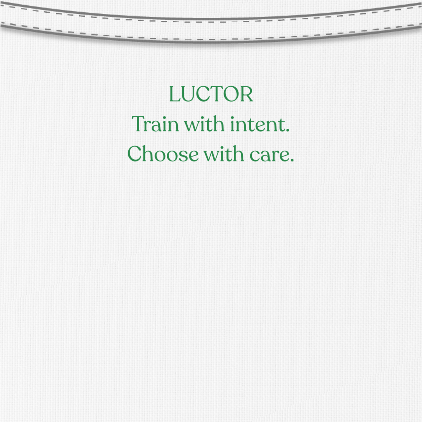 Luctor Mosaic V1